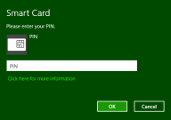 Win8_BL2G_PIN_entry
