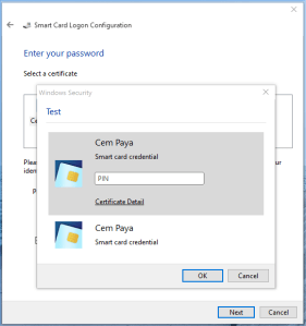 eIDAuthenticate setup— trial run