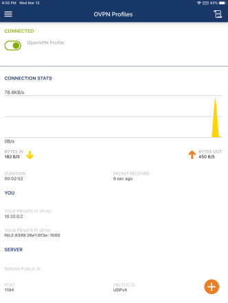 OpenVPN_on_iPad